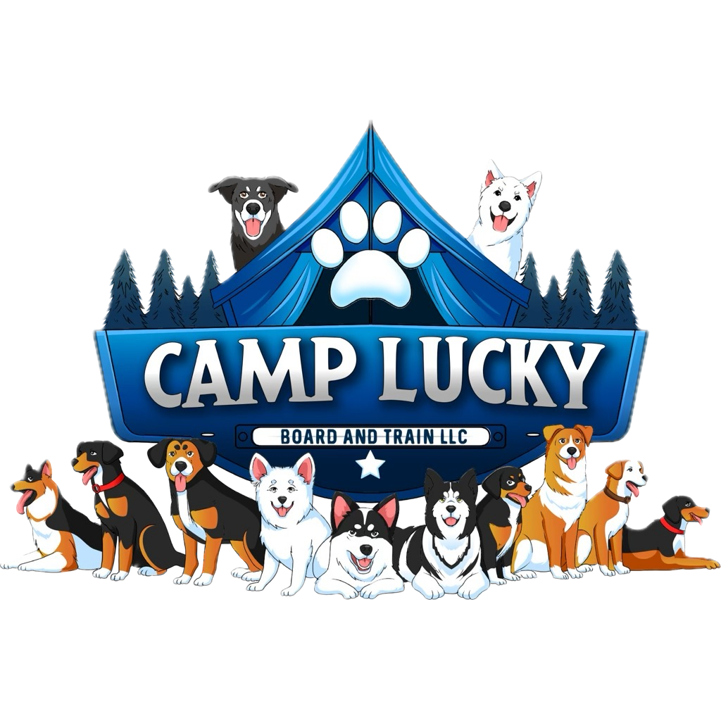 Camp Lucky Portal logo